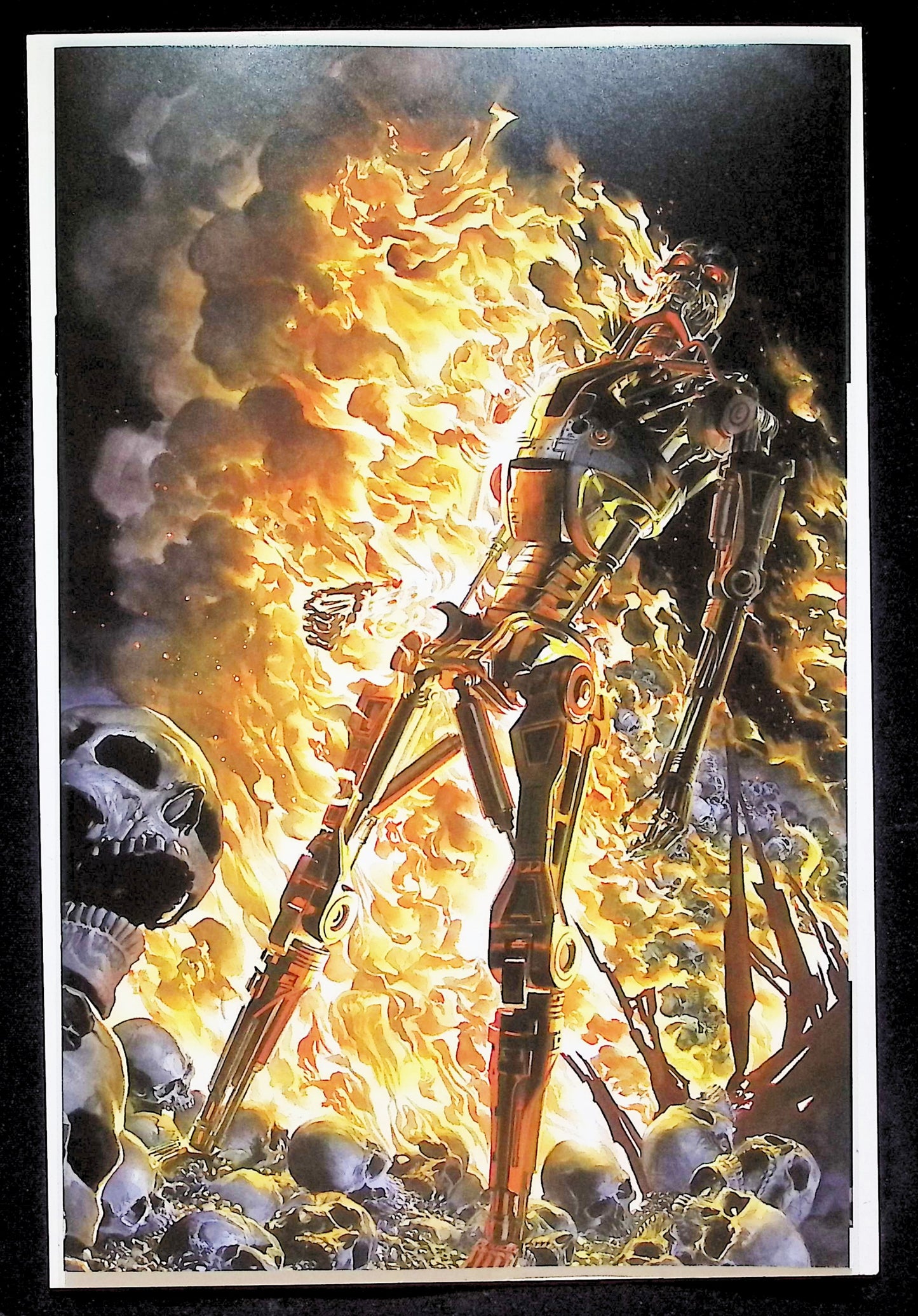 TERMINATOR #1 - ALEX ROSS RATIO 1:40 VIRGIN VARIANT BURNING EARTH ICON NM+